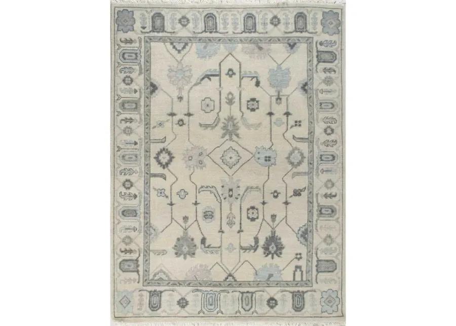 Quick Ship 8x10 Janie Turkish Knot Rug