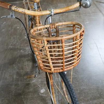 Rattan Bicycle