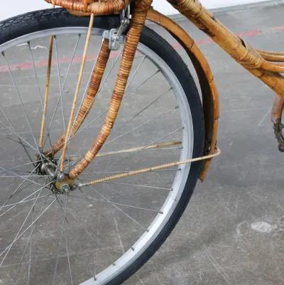 Rattan Bicycle