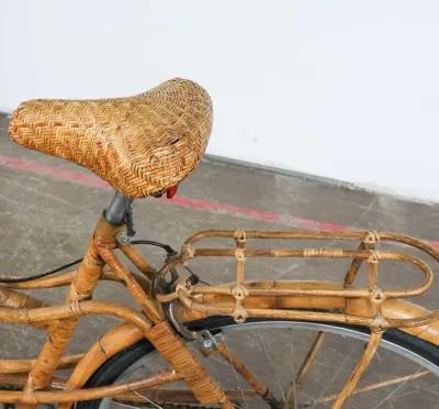 Rattan Bicycle