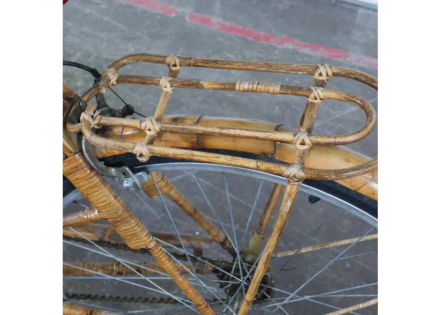 Rattan Bicycle