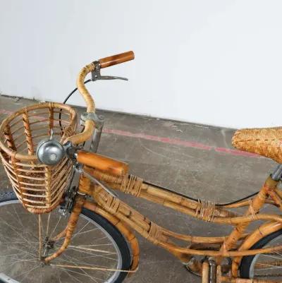 Rattan Bicycle