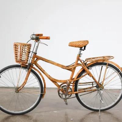 Rattan Bicycle