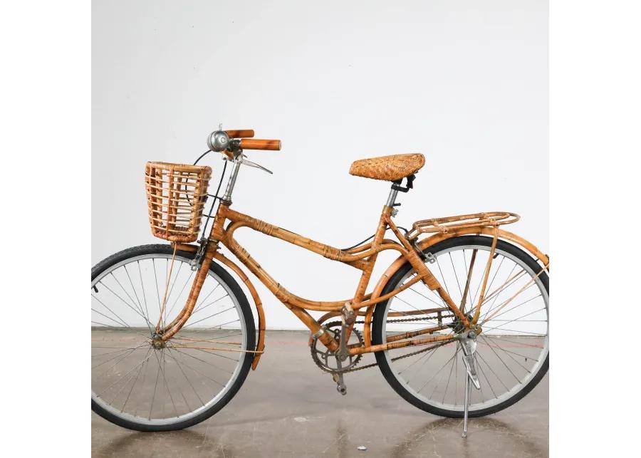 Rattan Bicycle