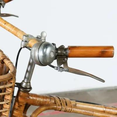 Rattan Bicycle