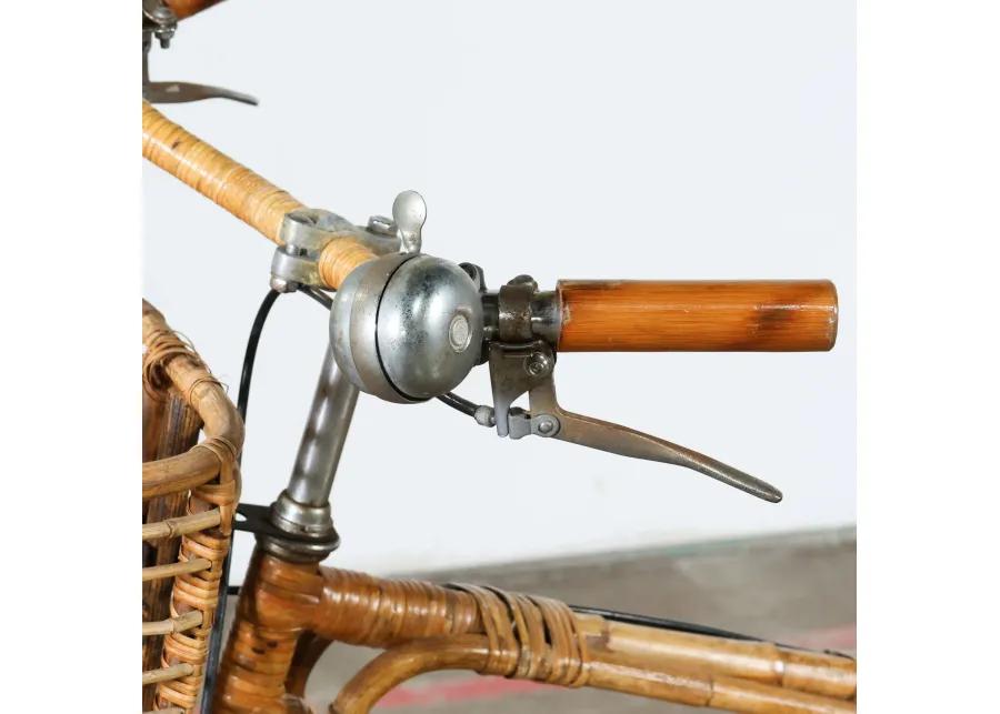 Rattan Bicycle