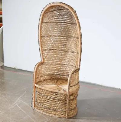 Woven Peacock Chair