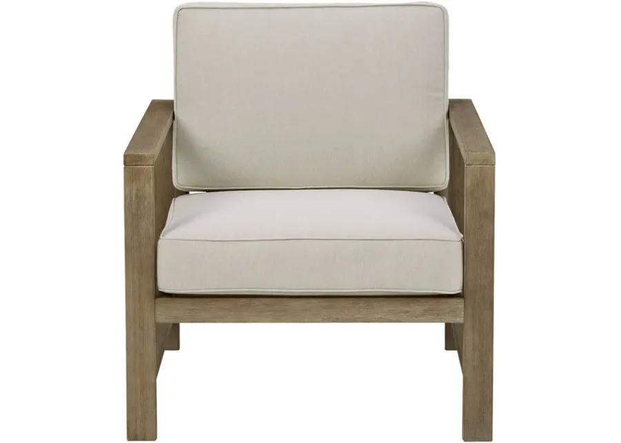 Fynnegan Light Brown Set of 2 Lounge Chairs