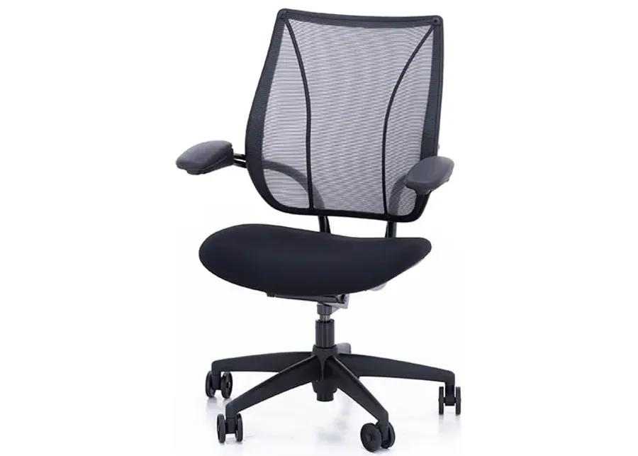 Humanscale Diffrient World Chair