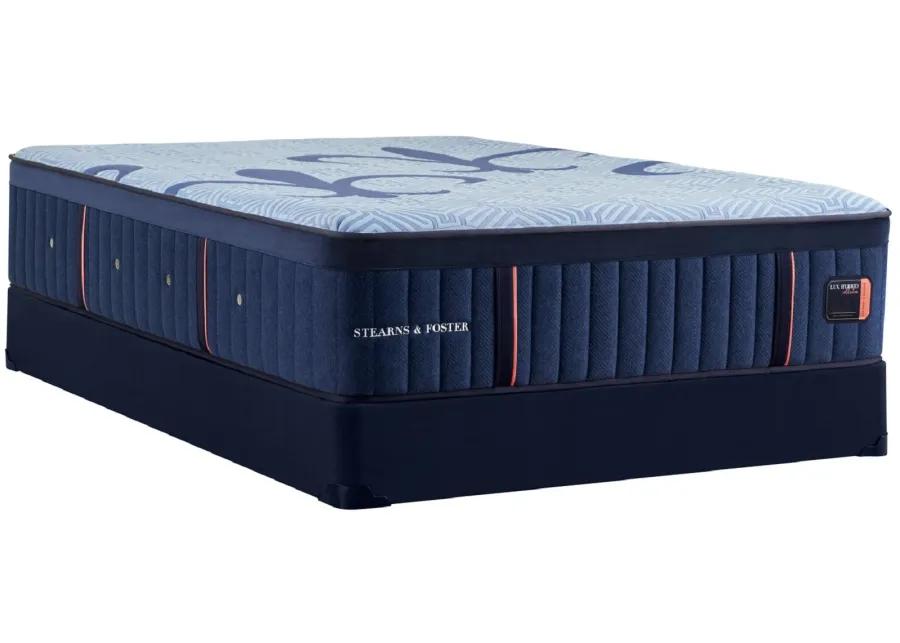 Stearns & Foster Luxury Hybrid Firm California King Mattress