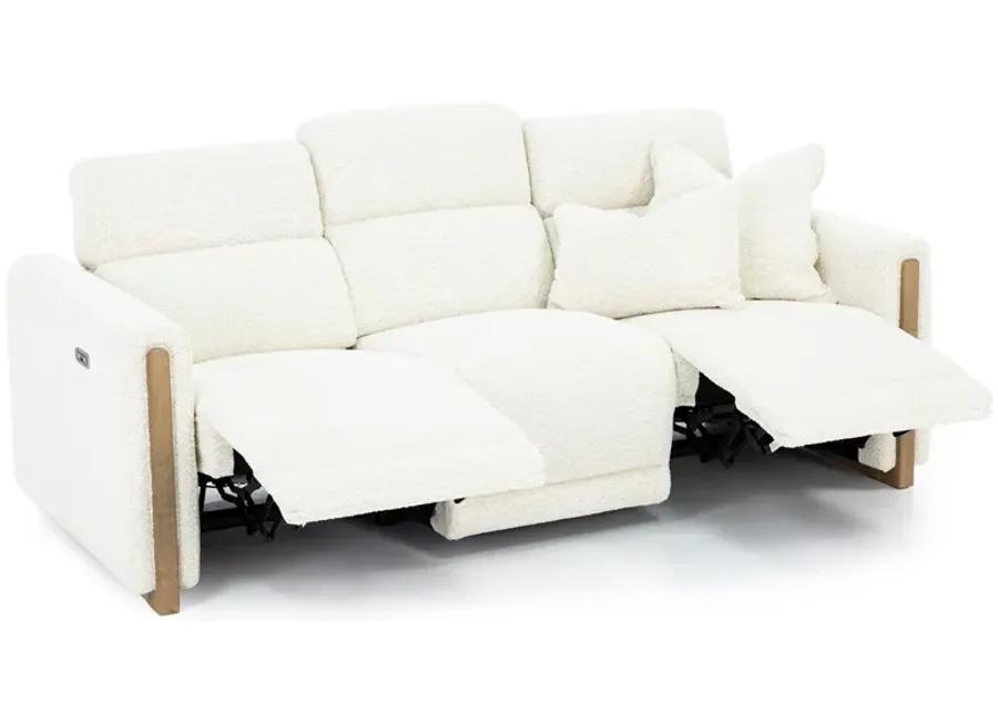 Hogan Power Headrest Reclining Sofa