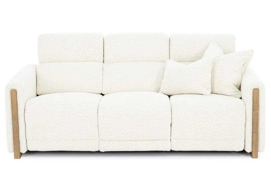 Hogan Power Headrest Reclining Sofa