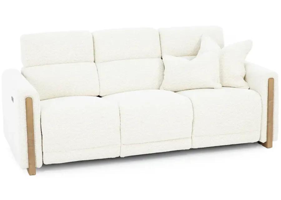 Hogan Power Headrest Reclining Sofa