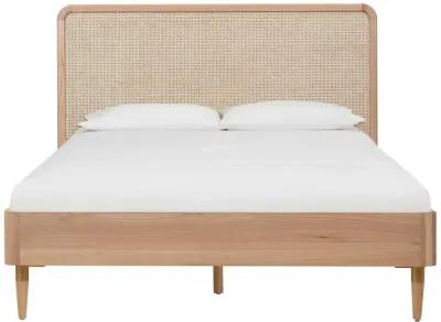 Carmen Cane Bed in Queen