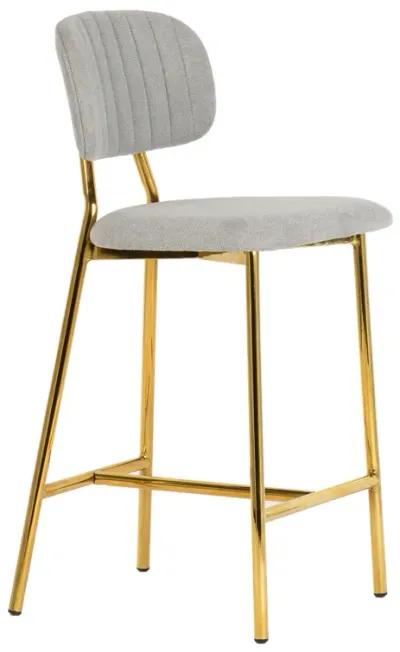 Ariana Grey Counter Stool (Set of 2)