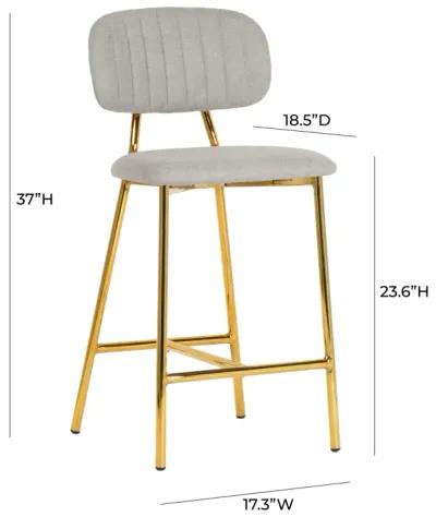 Ariana Grey Counter Stool (Set of 2)