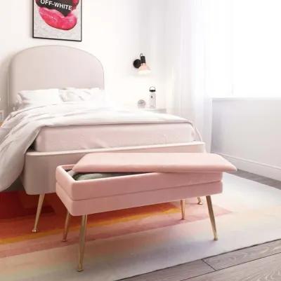 Ziva Blush Velvet Storage Bench