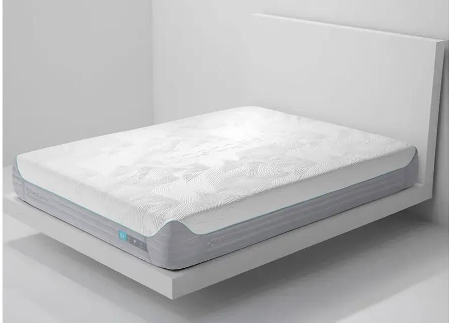 BEDGEAR S7 II 23 Plush Performance Mattress