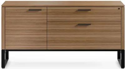 Linea Office 6220 Cabinet