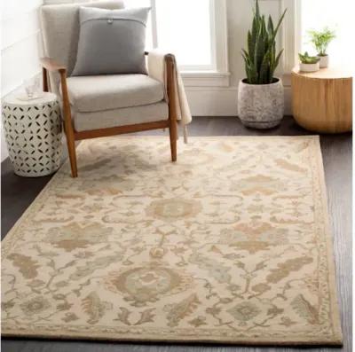 Caesar CAE-1166 5' x 8' Rug