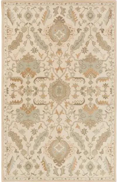 Caesar CAE-1166 5' x 8' Rug