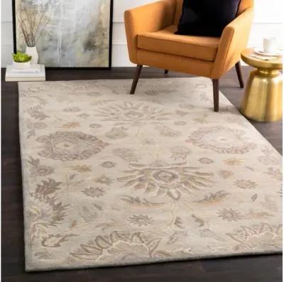 Caesar CAE-1192 5' x 8' Rug