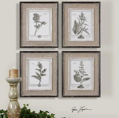 Casual Grey Study Framed Art Set/4