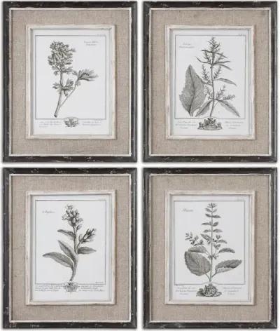 Casual Grey Study Framed Art Set/4