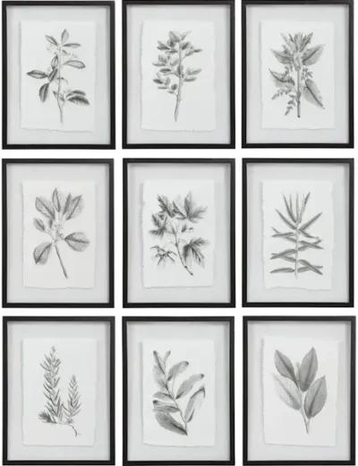 Farmhouse Florals Framed Prints, S/9