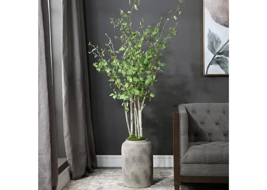 Aldis Potted River Birch