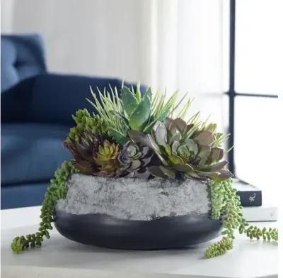 Yuma Succulent Centerpiece