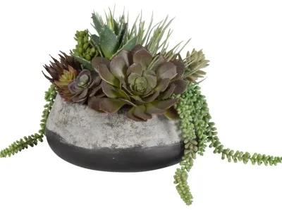 Yuma Succulent Centerpiece