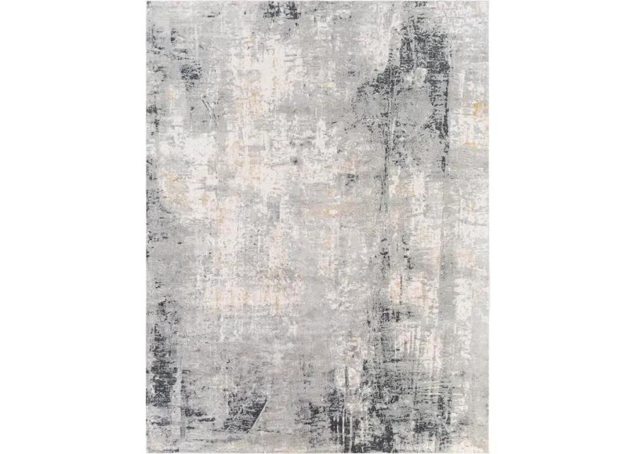 Paoli Gray Abstract 8 X 10 Rug